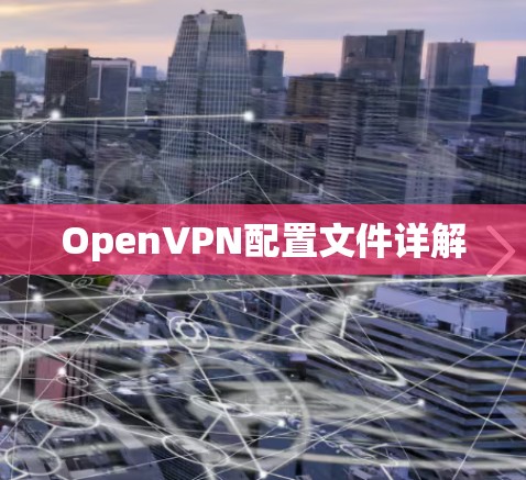 OpenVPN配置文件详解 OpenVPN配置文件详解