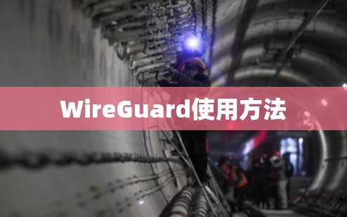 WireGuard使用方法 WireGuard使用方法