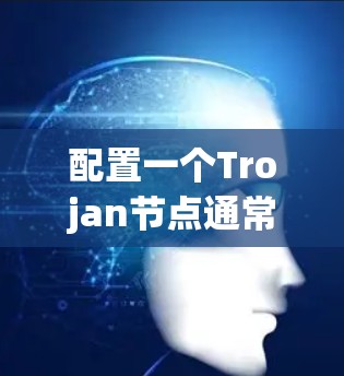配置一个Trojan节点通常需要遵循以下步骤,确保安全性和可靠性。以下是一个详细的步骤指南 配置一个Trojan节点通常需要遵循以下步骤,确保安全性和可靠性。以下是一个详细的步骤指南