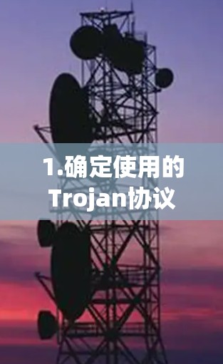 1.确定使用的Trojan协议 1.确定使用的Trojan协议