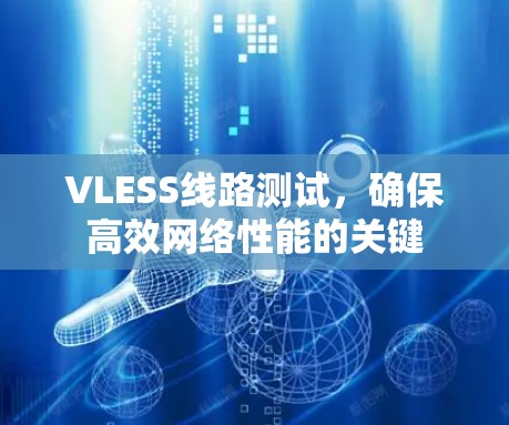 VLESS线路测试,确保高效网络性能的关键 VLESS线路测试,确保高效网络性能的关键