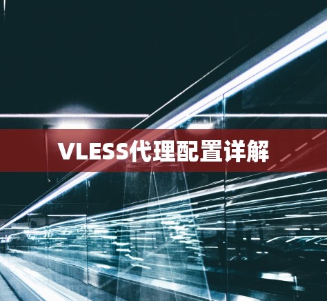 VLESS代理配置详解 VLESS代理配置详解