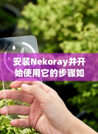 安装Nekoray并开始使用它的步骤如下 安装Nekoray并开始使用它的步骤如下