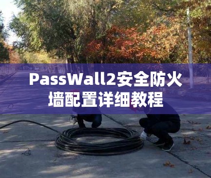 PassWall2安全防火墙配置详细教程 PassWall2安全防火墙配置详细教程