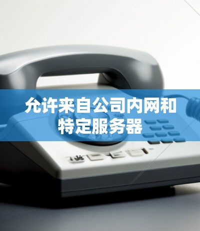 允许来自公司内网和特定服务器 允许来自公司内网和特定服务器