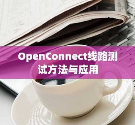 OpenConnect线路测试方法与应用 OpenConnect线路测试方法与应用