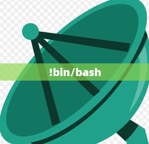 !bin/bash !bin/bash