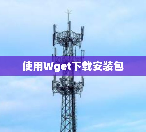 使用Wget下载安装包 使用Wget下载安装包