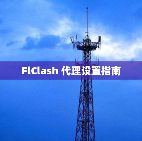 FlClash 代理设置指南 FlClash 代理设置指南