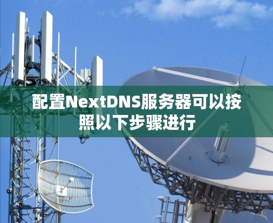 配置NextDNS服务器可以按照以下步骤进行 配置NextDNS服务器可以按照以下步骤进行