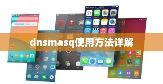 dnsmasq使用方法详解 dnsmasq使用方法详解