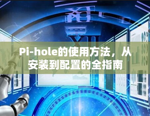 Pi-hole的使用方法,从安装到配置的全指南 Pi-hole的使用方法,从安装到配置的全指南