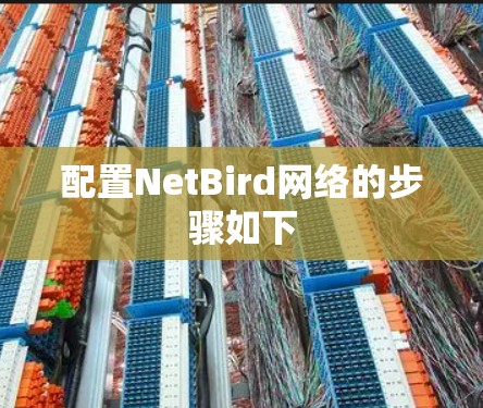 配置NetBird网络的步骤如下 配置NetBird网络的步骤如下