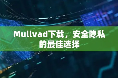 Mullvad下载，安全隐私的最佳选择