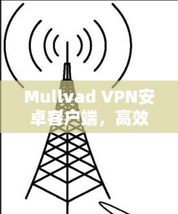 Mullvad VPN安卓客户端,高效隐私保护与安全连接 Mullvad VPN安卓客户端,高效隐私保护与安全连接