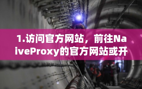 1.访问官方网站,前往NaiveProxy的官方网站或开发者页面,查看是否有最新版本的下载链接 1.访问官方网站,前往NaiveProxy的官方网站或开发者页面,查看是否有最新版本的下载链接