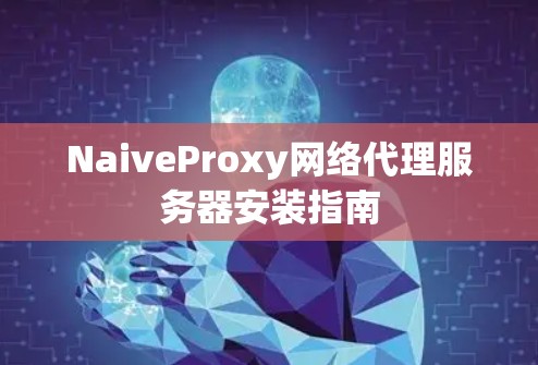 NaiveProxy网络代理服务器安装指南 NaiveProxy网络代理服务器安装指南