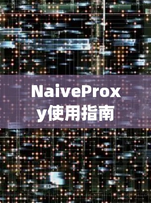 NaiveProxy使用指南 NaiveProxy使用指南