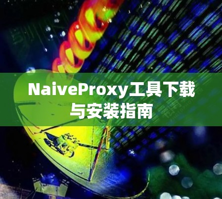 NaiveProxy工具下载与安装指南 NaiveProxy工具下载与安装指南