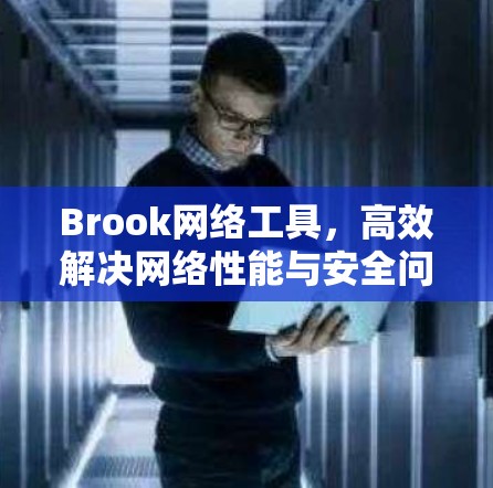 Brook网络工具,高效解决网络性能与安全问题 Brook网络工具,高效解决网络性能与安全问题