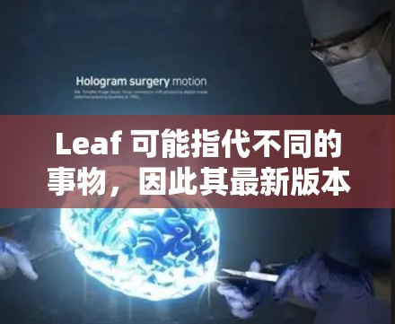 Leaf 可能指代不同的事物,因此其最新版本取决于具体领域。以下是一些可能的解释和最新版本的信息 Leaf 可能指代不同的事物,因此其最新版本取决于具体领域。以下是一些可能的解释和最新版本的信息