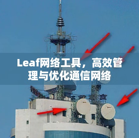 Leaf网络工具,高效管理与优化通信网络 Leaf网络工具,高效管理与优化通信网络