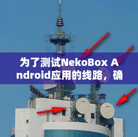 为了测试NekoBox Android应用的线路,确保其在不同网络环境下流畅运行,可以按照以下步骤进行 为了测试NekoBox Android应用的线路,确保其在不同网络环境下流畅运行,可以按照以下步骤进行