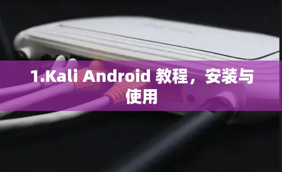 1.Kali Android 教程,安装与使用 1.Kali Android 教程,安装与使用