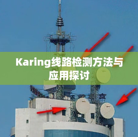 Karing线路检测方法与应用探讨 Karing线路检测方法与应用探讨