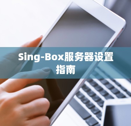 Sing-Box服务器设置指南 Sing-Box服务器设置指南