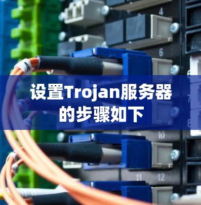 设置Trojan服务器的步骤如下 设置Trojan服务器的步骤如下