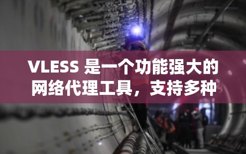 VLESS 是一个功能强大的网络代理工具,支持多种协议代理、DNS代理、会员管理等功能,适用于防火墙穿透、访问限制绕过等场景。以下是 VLESS 客户端的基本使用教程 VLESS 是一个功能强大的网络代理工具,支持多种协议代理、DNS代理、会员管理等功能,适用于防火墙穿透、访问限制绕过等场景。以下是 VLESS 客户端的基本使用教程