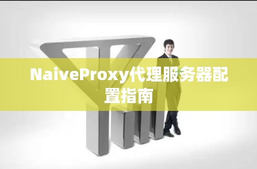 NaiveProxy代理服务器配置指南 NaiveProxy代理服务器配置指南