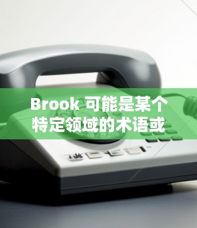 Brook 可能是某个特定领域的术语或工具,但根据上下文,似乎在讨论一种规则设置。以下是一些可能与 Brook 规则设置相关的信息 Brook 可能是某个特定领域的术语或工具,但根据上下文,似乎在讨论一种规则设置。以下是一些可能与 Brook 规则设置相关的信息