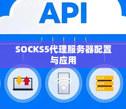 SOCKS5代理服务器配置与应用 SOCKS5代理服务器配置与应用
