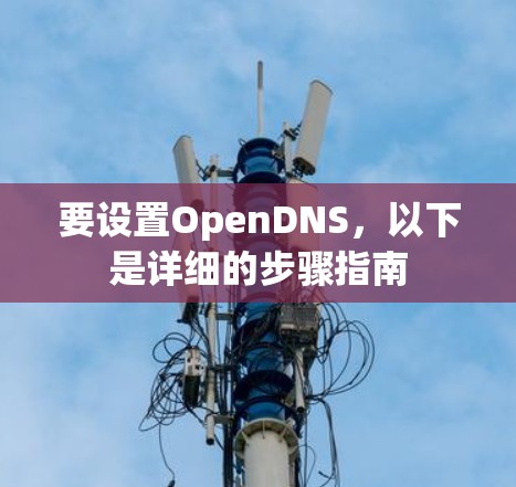 要设置OpenDNS,以下是详细的步骤指南