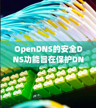 OpenDNS的安全DNS功能旨在保护DNS解析过程中的安全,防止各种网络攻击和安全威胁。以下是该功能的详细说明 OpenDNS的安全DNS功能旨在保护DNS解析过程中的安全,防止各种网络攻击和安全威胁。以下是该功能的详细说明