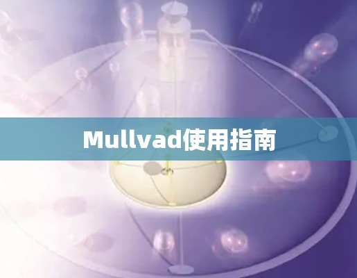 Mullvad使用指南