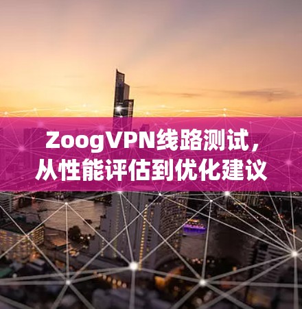 ZoogVPN线路测试,从性能评估到优化建议