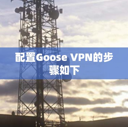 配置Goose VPN的步骤如下