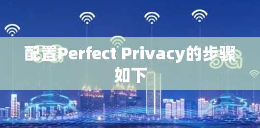 配置Perfect Privacy的步骤如下 配置Perfect Privacy的步骤如下
