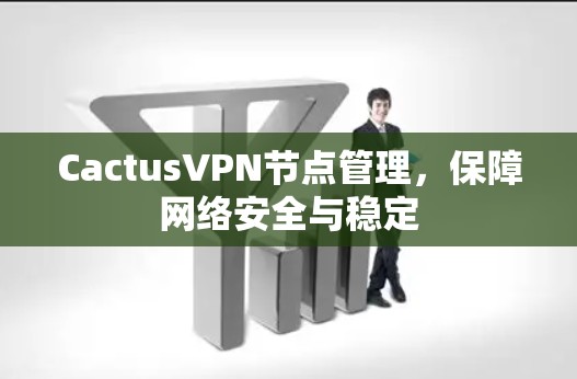 CactusVPN节点管理，保障网络安全与稳定