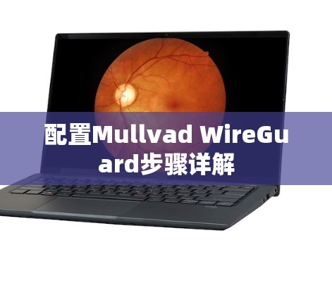配置Mullvad WireGuard步骤详解 配置Mullvad WireGuard步骤详解