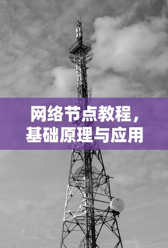 网络节点教程,基础原理与应用实践